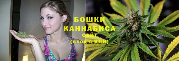 a pvp Белокуриха